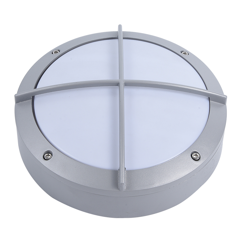 Moisture proof light