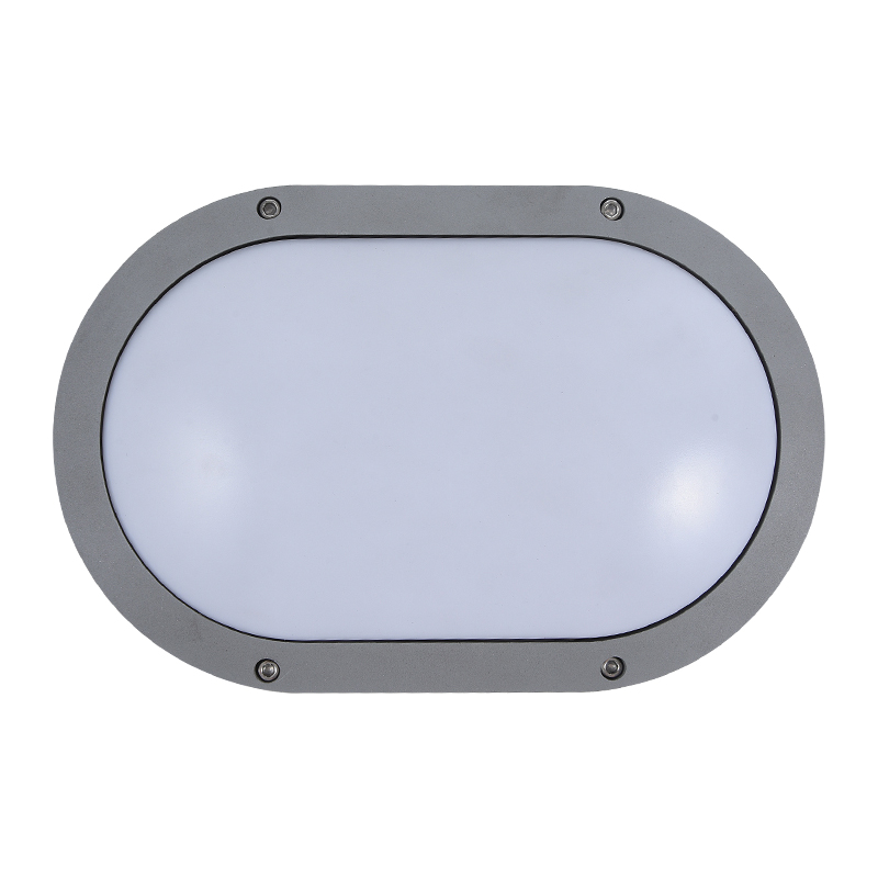 Moisture proof light