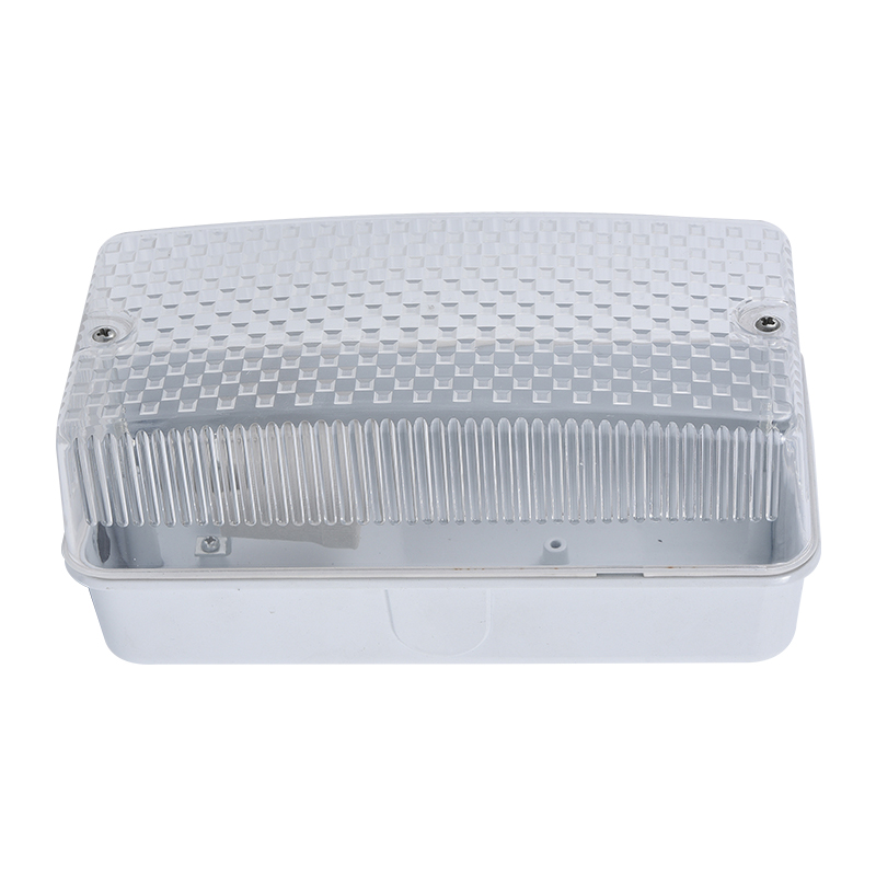Moisture proof light
