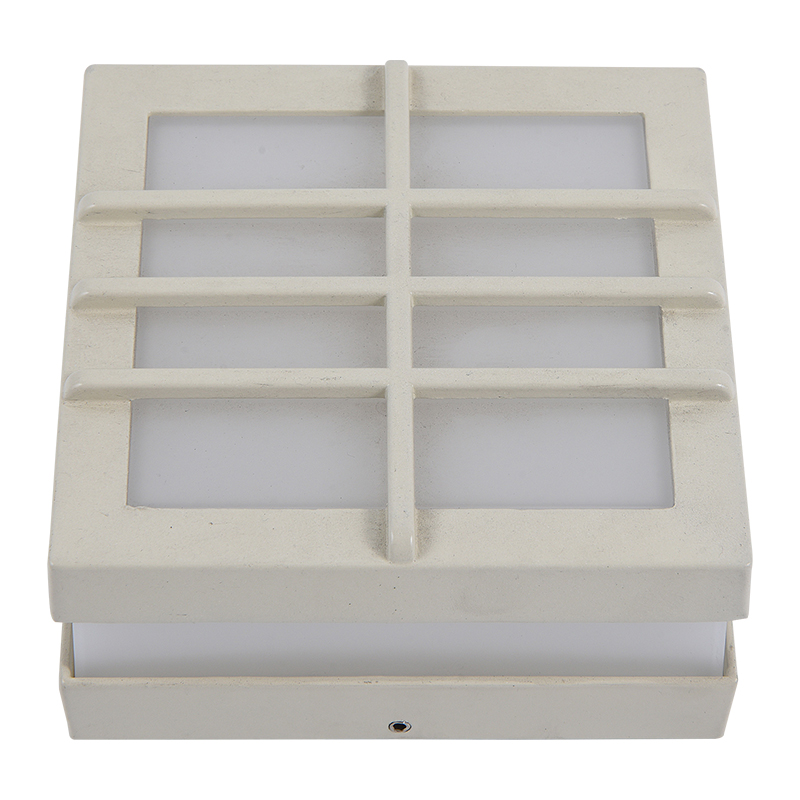 Moisture proof light
