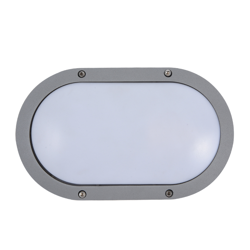 Moisture proof light