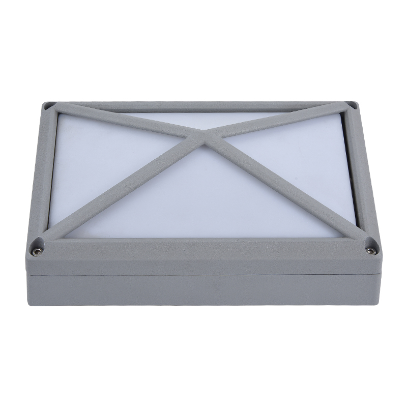 Moisture proof light