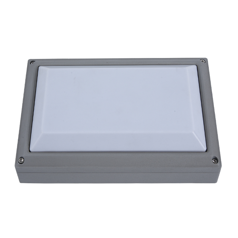 Moisture proof light