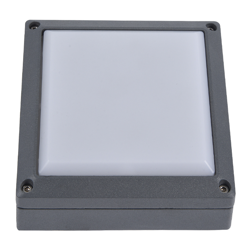 Moisture proof light