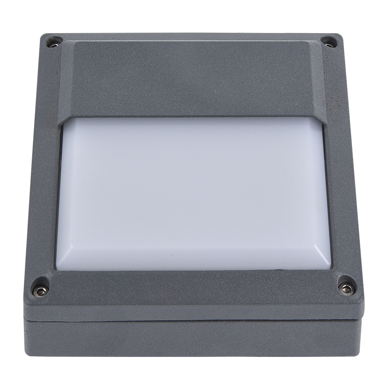 Moisture proof light