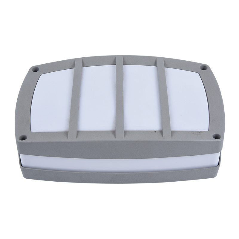 Moisture proof light