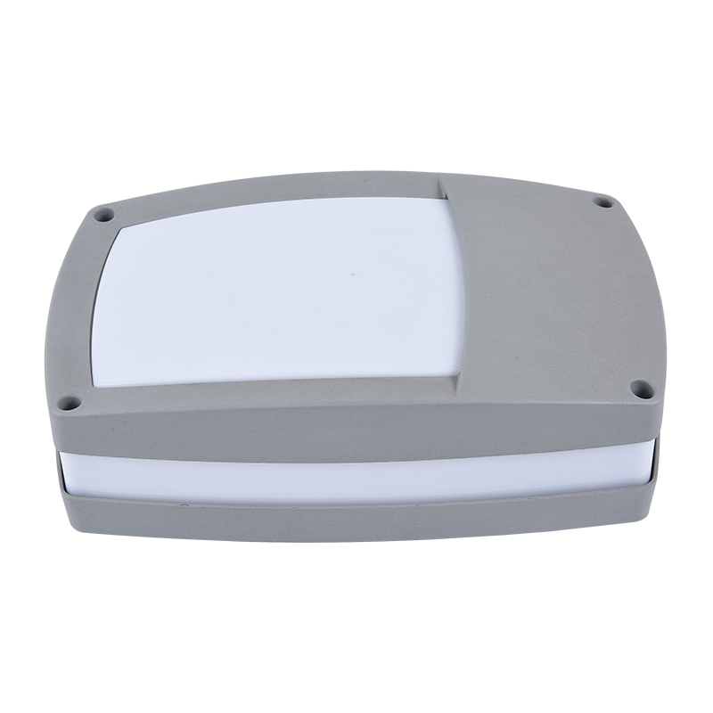 Moisture proof light