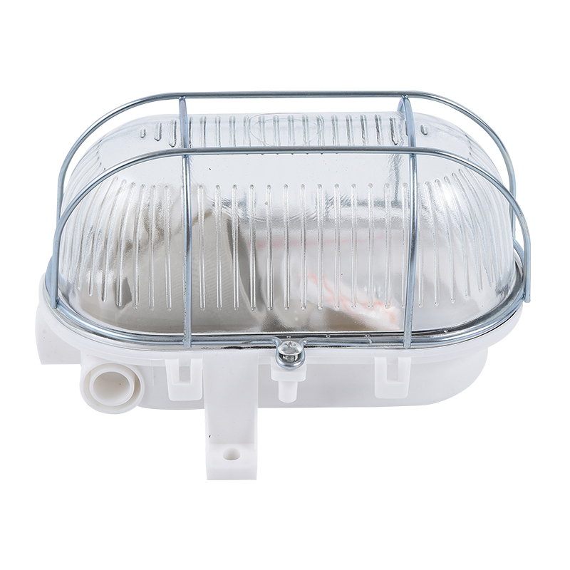 Moisture proof light