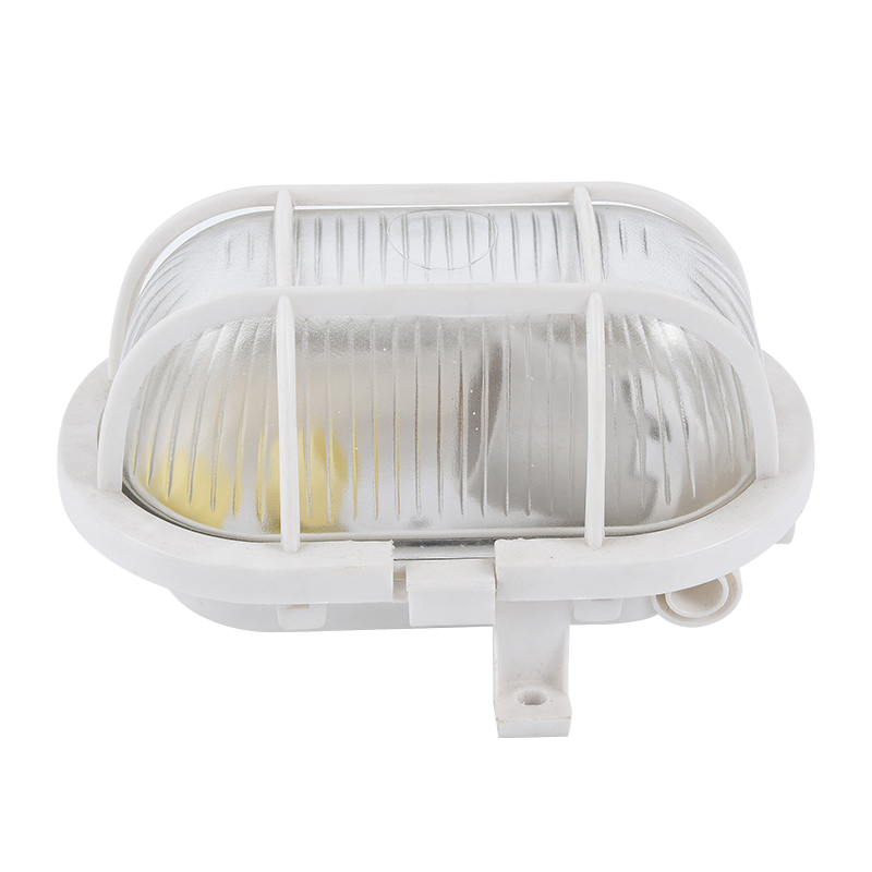Moisture proof light