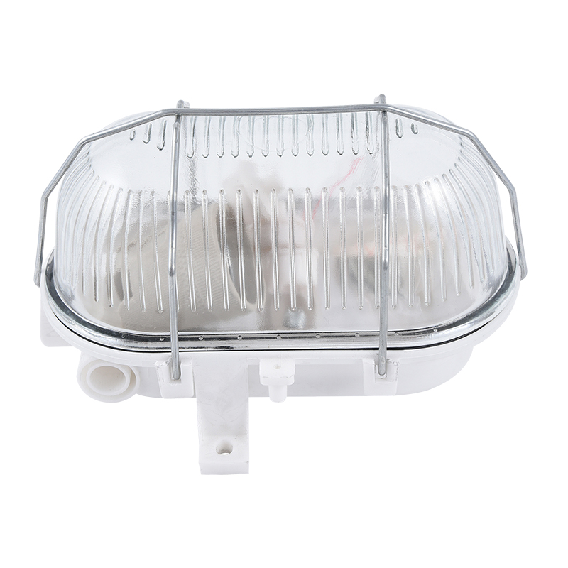 Moisture proof light