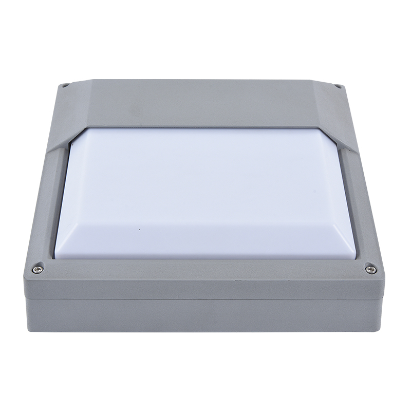 Moisture proof light