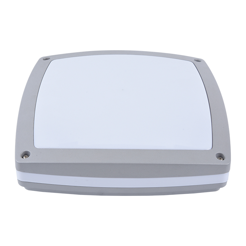 Moisture proof light