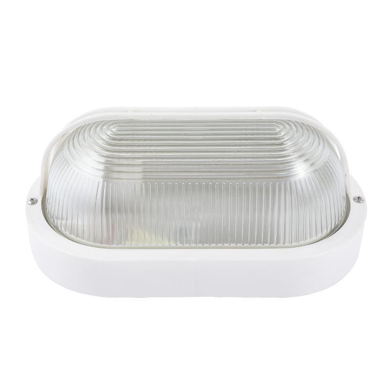 Moisture proof light