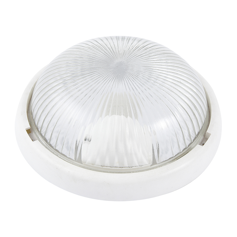 Moisture proof light