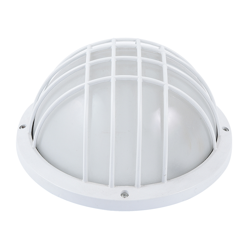 Moisture proof light