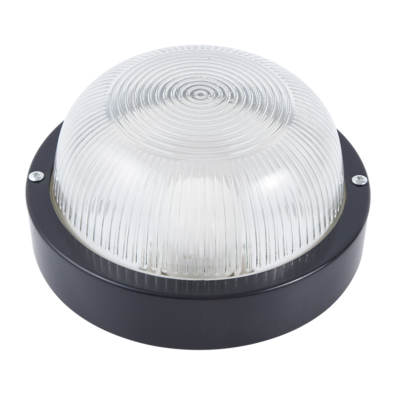 Moisture proof light