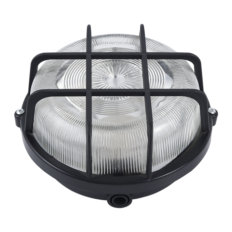 Moisture proof light