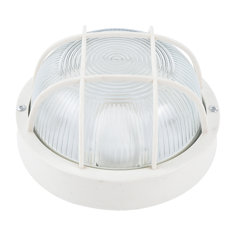 Moisture proof light