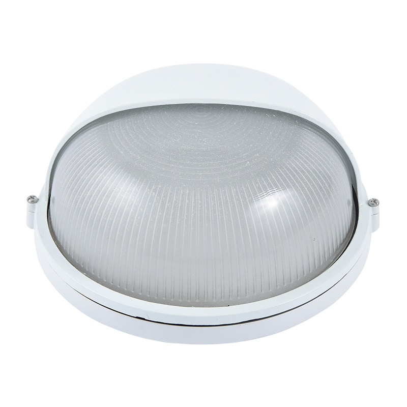Moisture proof light