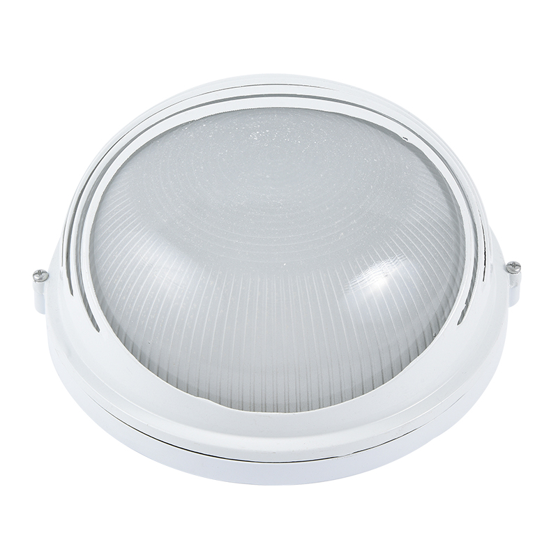 Moisture proof light