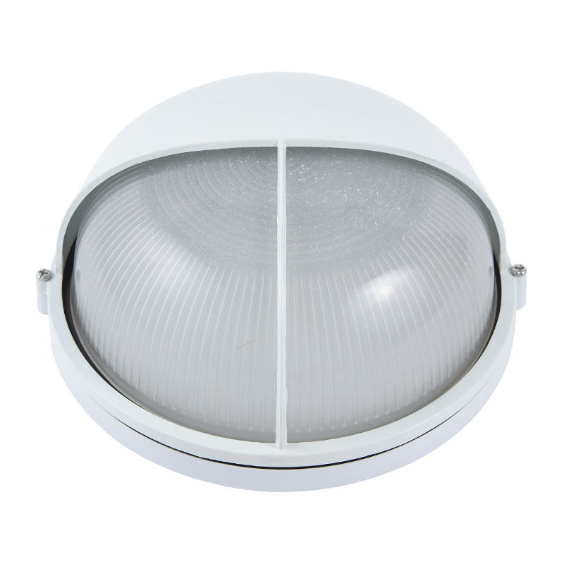 Moisture proof light