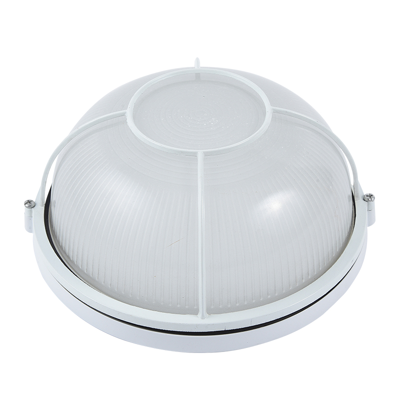 Moisture proof light