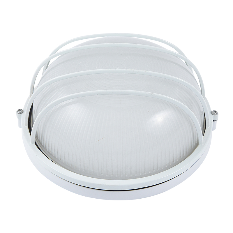 Moisture proof light