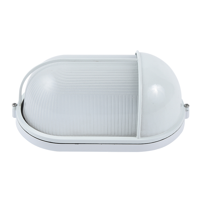 Moisture proof light