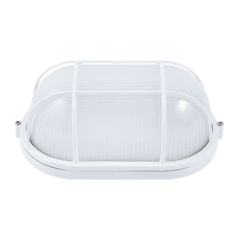 Moisture proof light