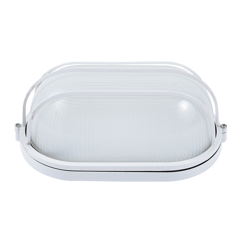 Moisture proof light