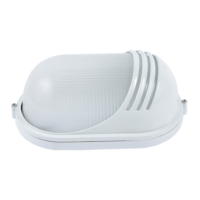 Moisture proof light
