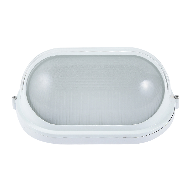 Moisture proof light