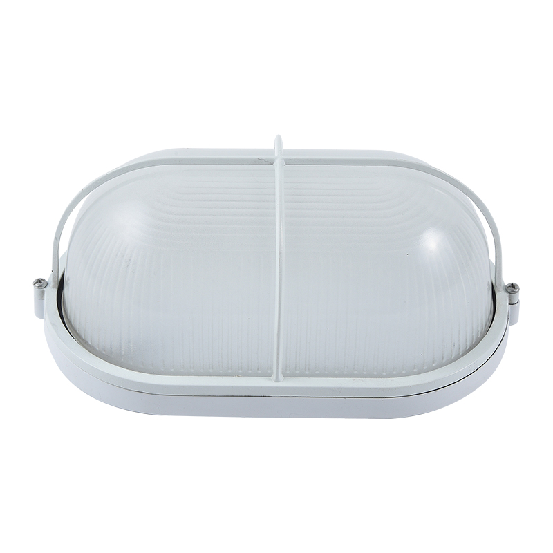 Moisture proof light