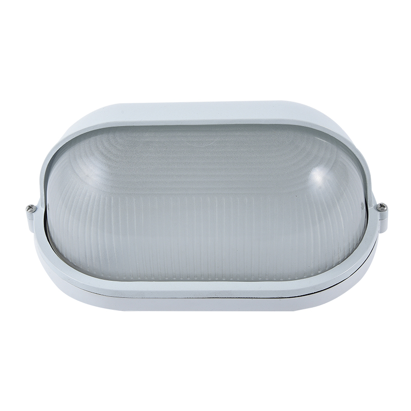 Moisture proof light