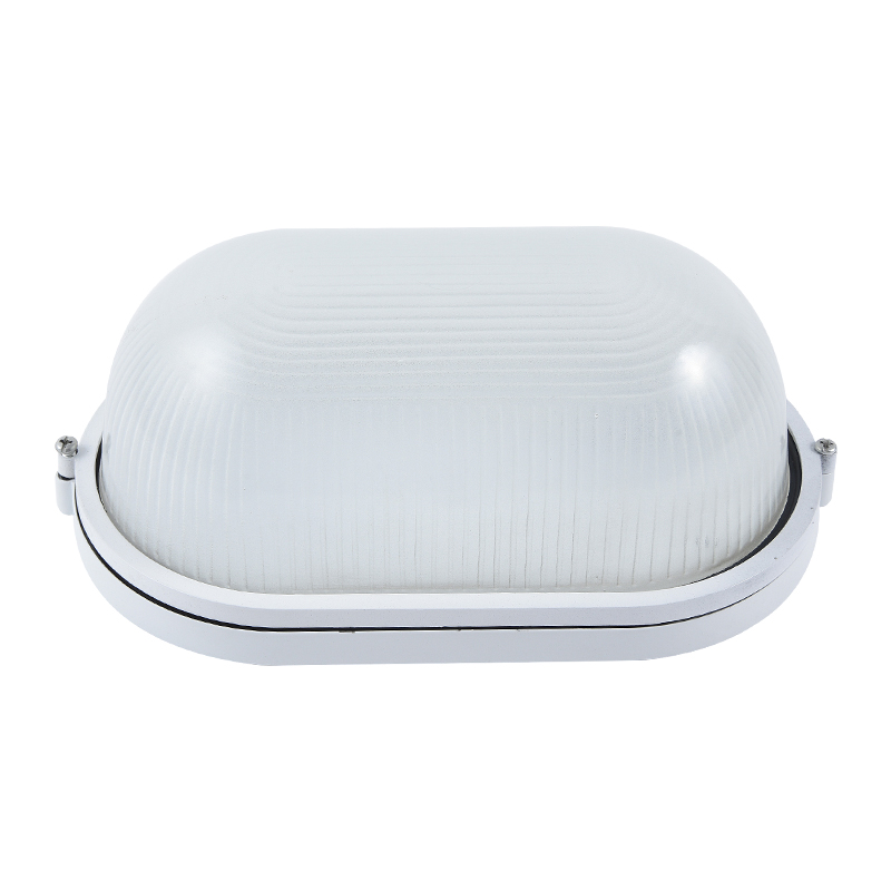 Moisture proof light