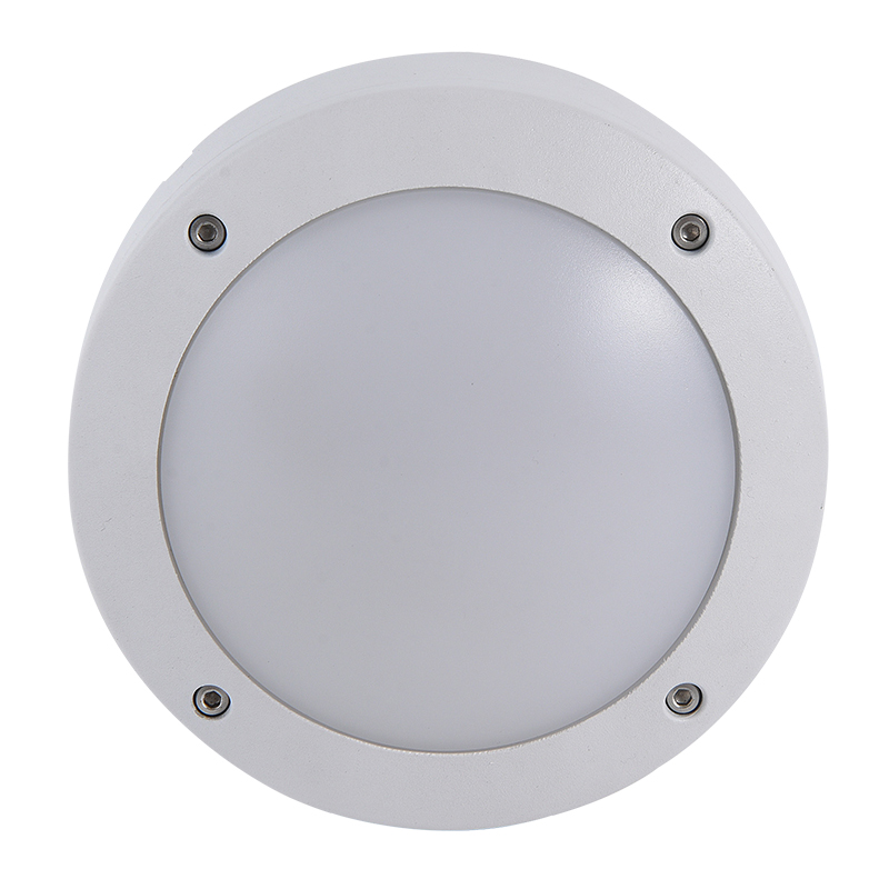 Moisture proof light 