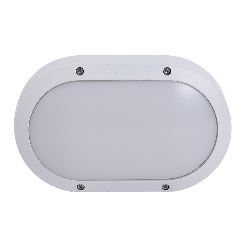 Moisture proof light 