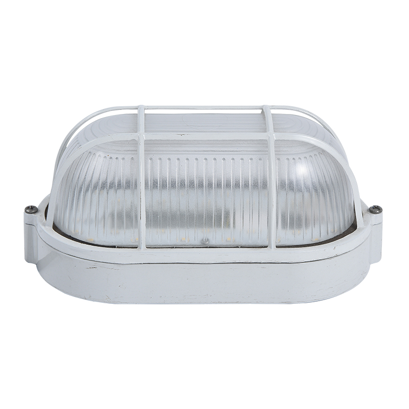 Moisture proof light 