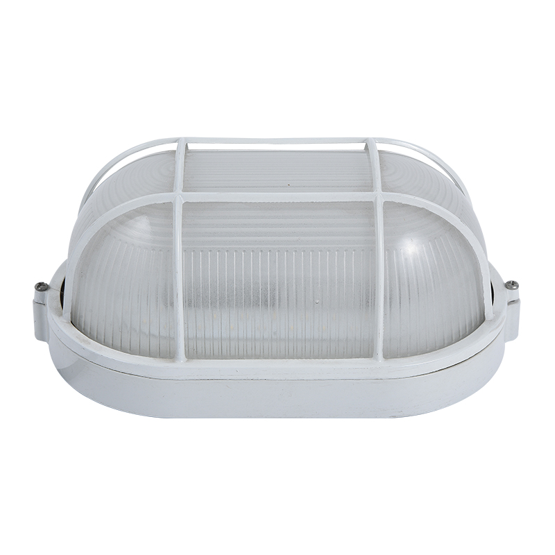 Moisture proof light 