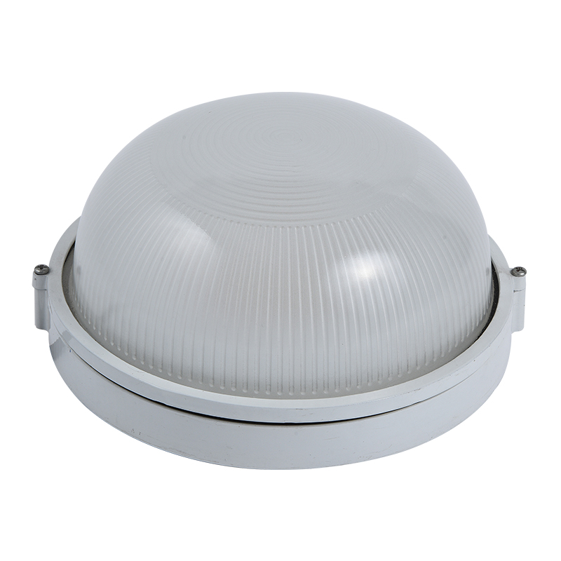 Moisture proof light 