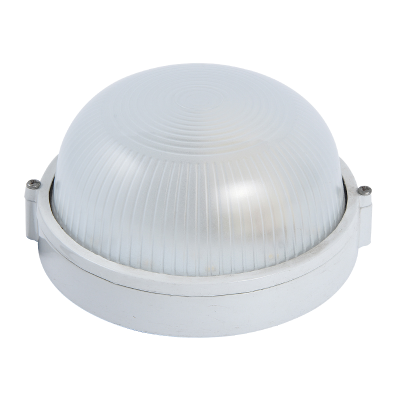 Moisture proof light 