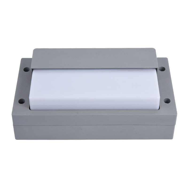 Moisture proof light