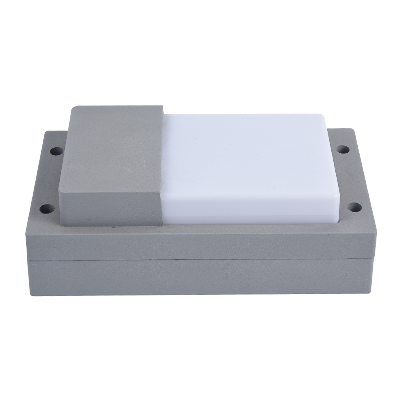 Moisture proof light