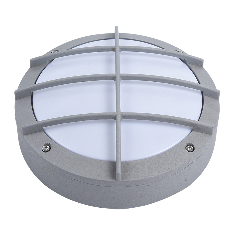 Moisture proof light