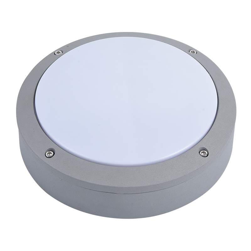 Moisture proof light