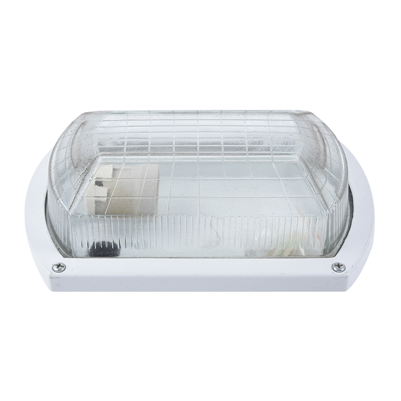 Moisture proof light