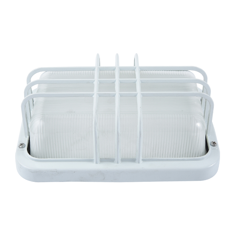 Moisture proof light