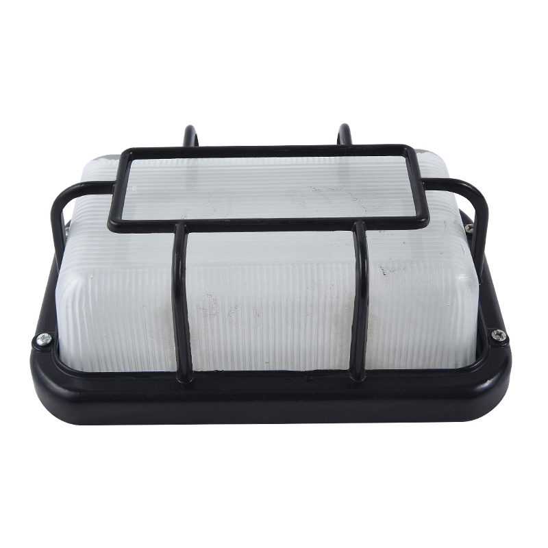 Moisture proof light