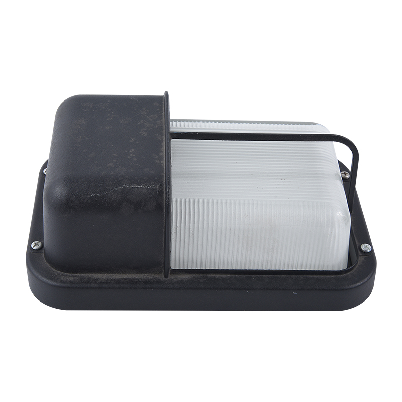 Moisture proof light