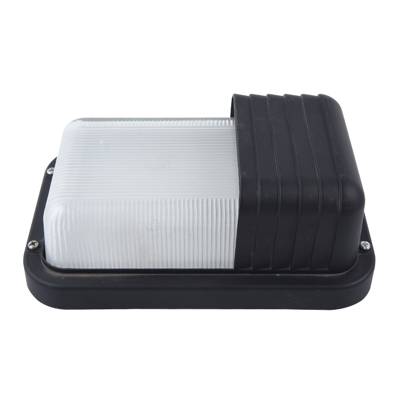 Moisture proof light